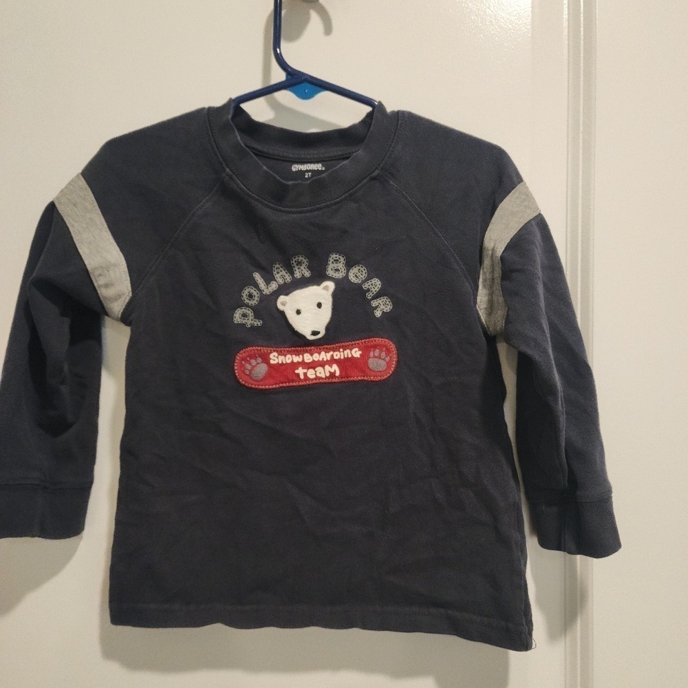 Kids 2t Gymboree Polar Bear Snowboarding Team Gray Blue Toddler T-Shirt